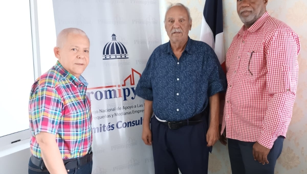 Comités consultivos de Promipyme se  reúnen
